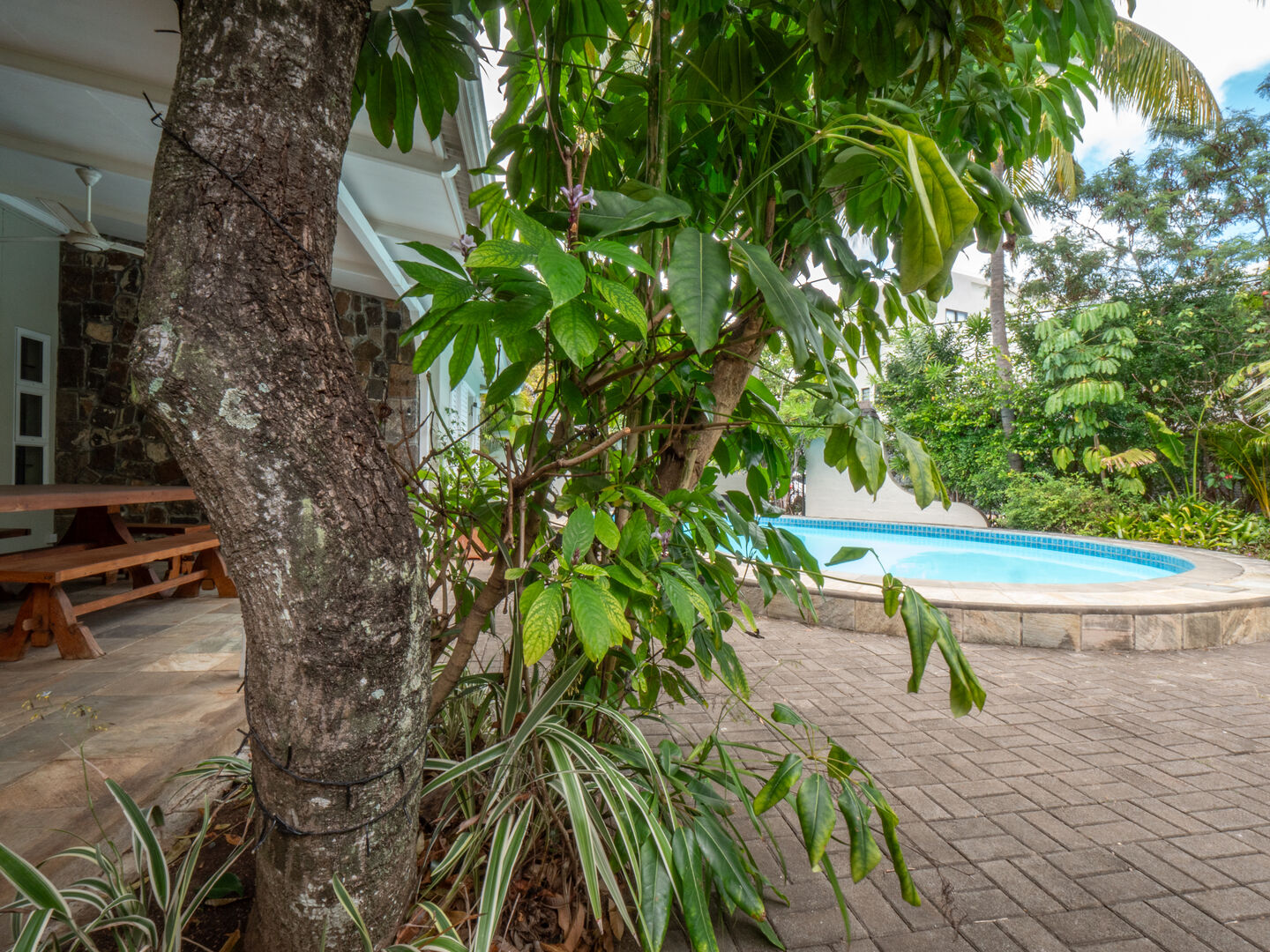 westimmo location maison villa for rent la preneus