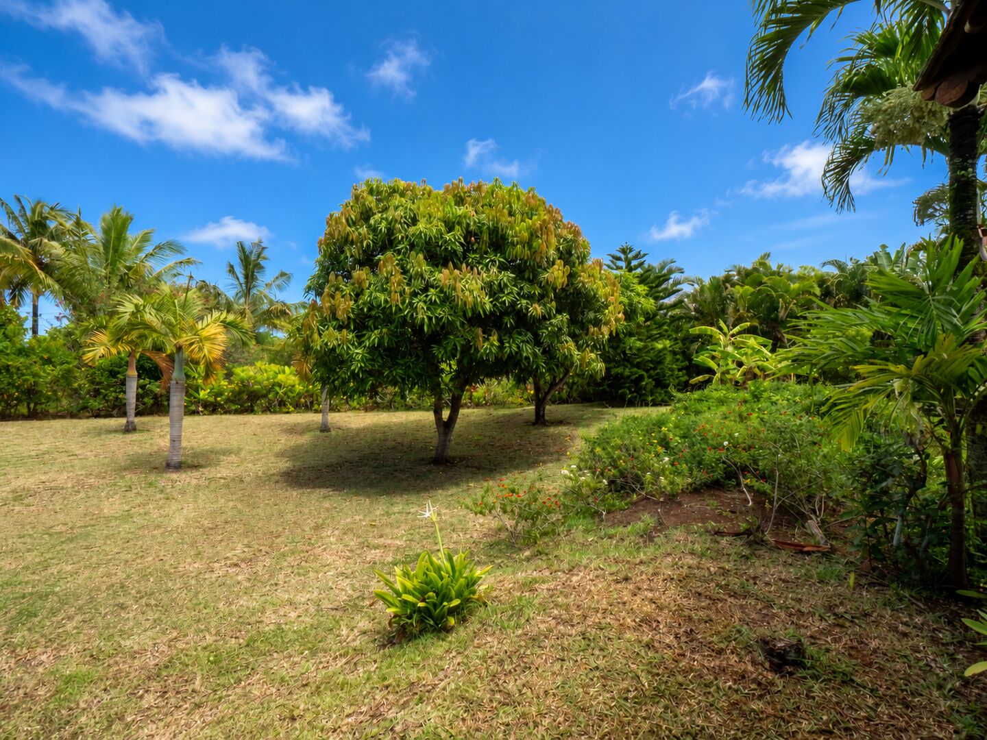 villa Belle Riviere Belle Ombre  2