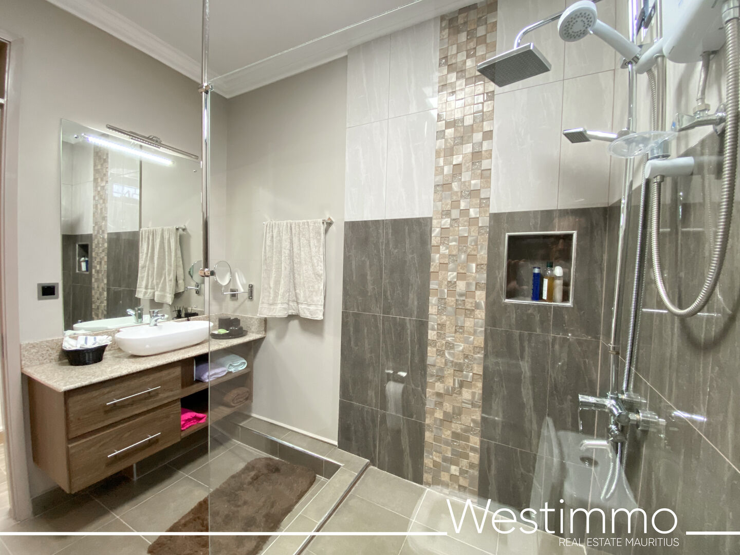 Rent house mont choisy Westimmo20
