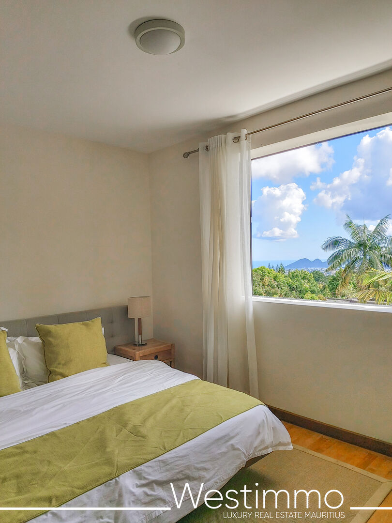 louer appartement centre maurice floreal18