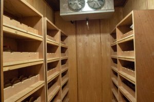 Property - photo 35