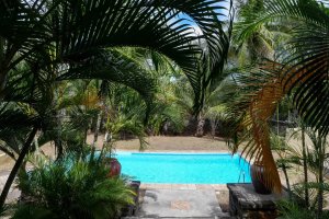 Property - photo 46