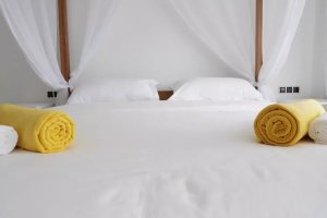 Property - photo 20
