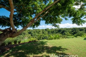 Property - photo 44