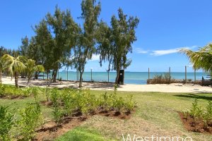 Property - photo 8