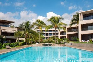 Property - photo 18