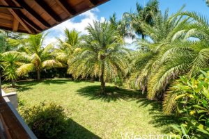 Property - photo 40
