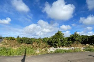 Property - photo 3