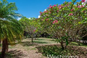 Property - photo 13