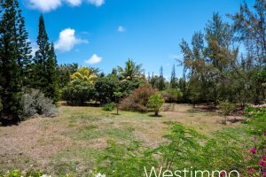 Property - photo 14