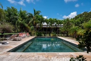 Property - photo 21