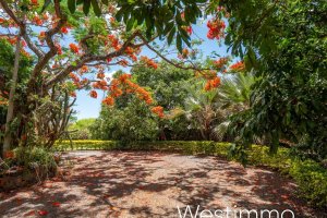 Property - photo 12