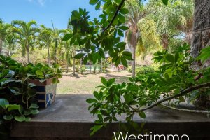Property - photo 32
