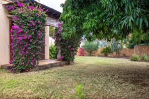 Property - photo 29