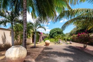 Property - photo 31
