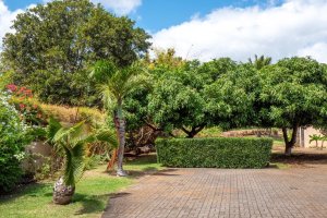 Property - photo 32