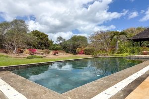 Property - photo 41
