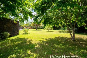 Property - photo 42