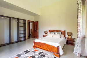 Property - photo 11