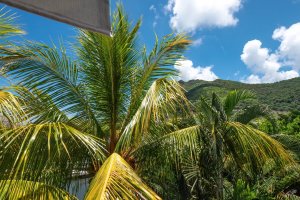Property - photo 18