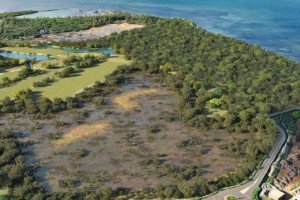 harmoniegolfbeachestateWestimmoluxuryrealestatemau
