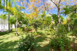 Villa Callodyne69