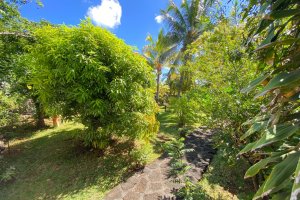 Villa Callodyne74