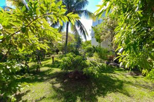 Villa Callodyne73