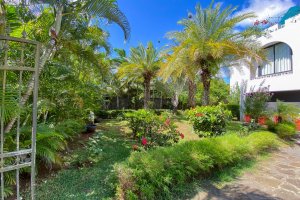Villa Callodyne86
