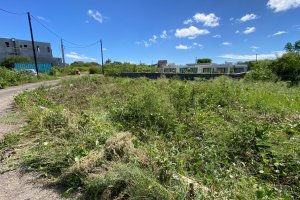 Terrain a vendre nord ile maurice3