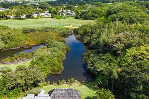 villa dhotel a vendre four season maurice19