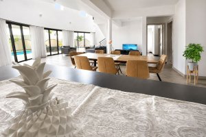 westimmolocationatypiquealbionvillamaurice 12