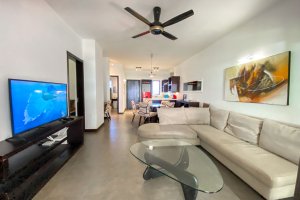 Appartement location et vente Nord20