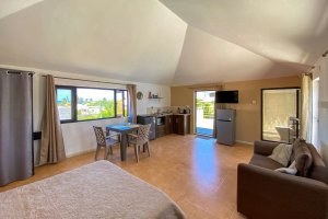 maison a louer a la gaulette avec piscine36