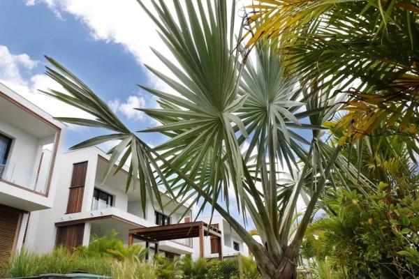 TAMARIN - Villa moderne de 3 chambres avec piscine à la location long terme - photo 1