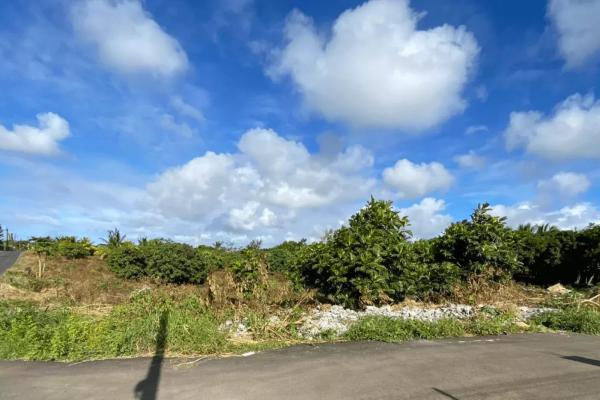 Terrain à Vendre Grand-baie - photo 3