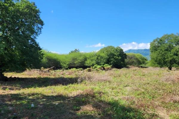 Superbe terrain à bâtir - photo 1