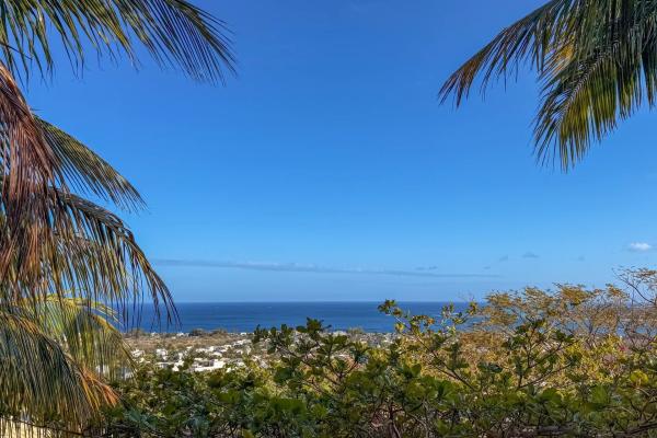 Villa familiale de prestige sur la Tourelle – Vue panoramique mer et montagne - photo 1