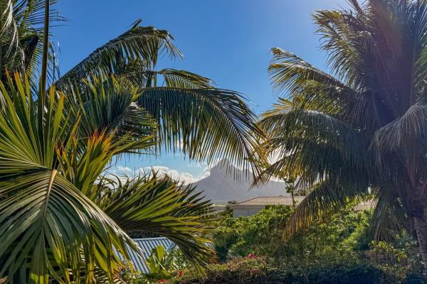 Villa familiale de prestige sur la Tourelle – Vue panoramique mer et montagne - photo 6