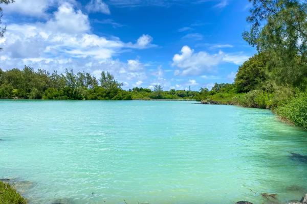 GRAND GAUBE - Magnificent modern duplex on the edge of the Barachois - photo 3