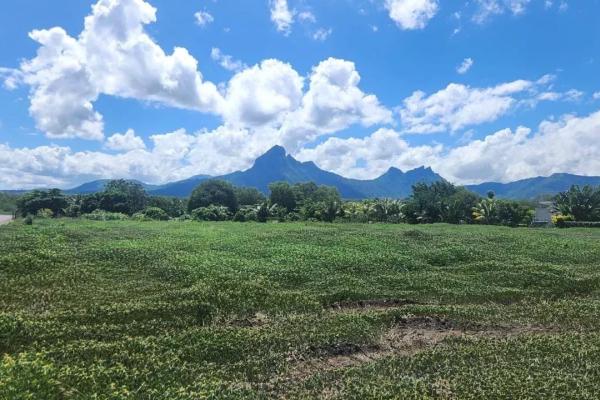 TAMARIN - Terrain constructible avec vue montagne exceptionnelle - photo 1