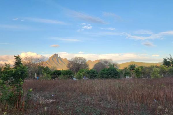 TAMARIN - Terrain constructible avec vue montagne exceptionnelle - photo 2