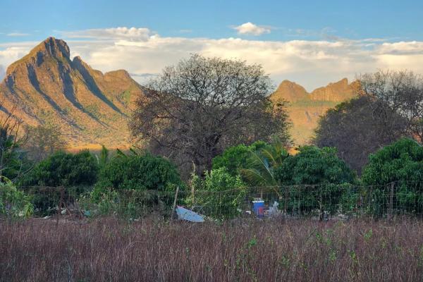 TAMARIN - Terrain constructible avec vue montagne exceptionnelle - photo 3