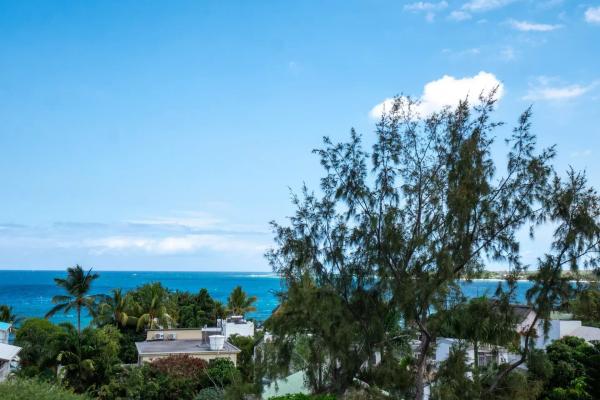 TAMARIN - Penthouse vue mer à vendre avec ascenseur privé - photo 3