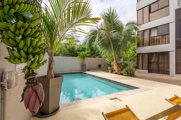 Renovated 3-bedroom apartment for rent in La Preneuse - photo 3