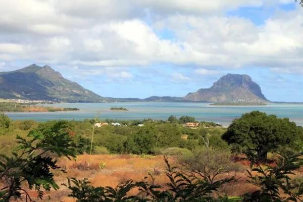 Terrain à vendre de 1 640 m² à Rivière Noire, accessible aux non-Mauriciens - photo 2