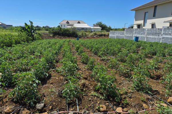 Residential land for sale in Beau Vallon - photo 1