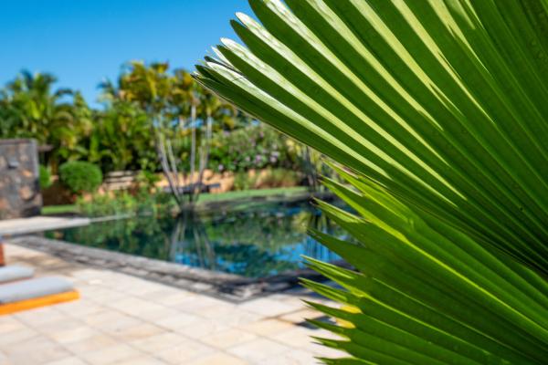 villa de luxe a louer long terme tamarin golf40