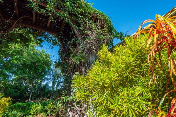 villa de luxe a louer long terme tamarin golf50