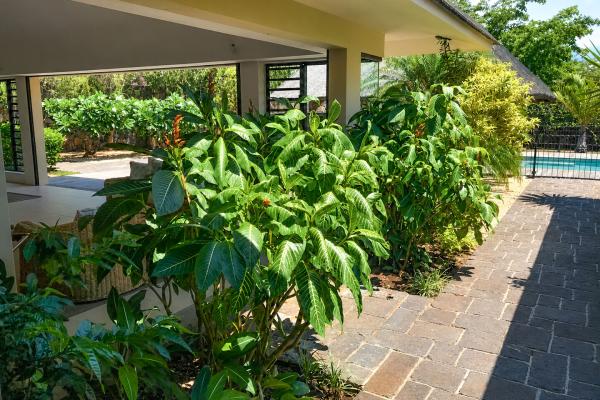 location villa tamarin ile maurice21
